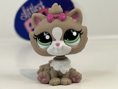 Littlest Pet Shop #2640 – Chat Himalayen Original HASBRO – Authentique