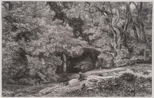K. BODMER (1809-1893), Greifvogel auf Hasenjagd, Lithographie Realismus