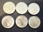 Six peace silver dollar lot