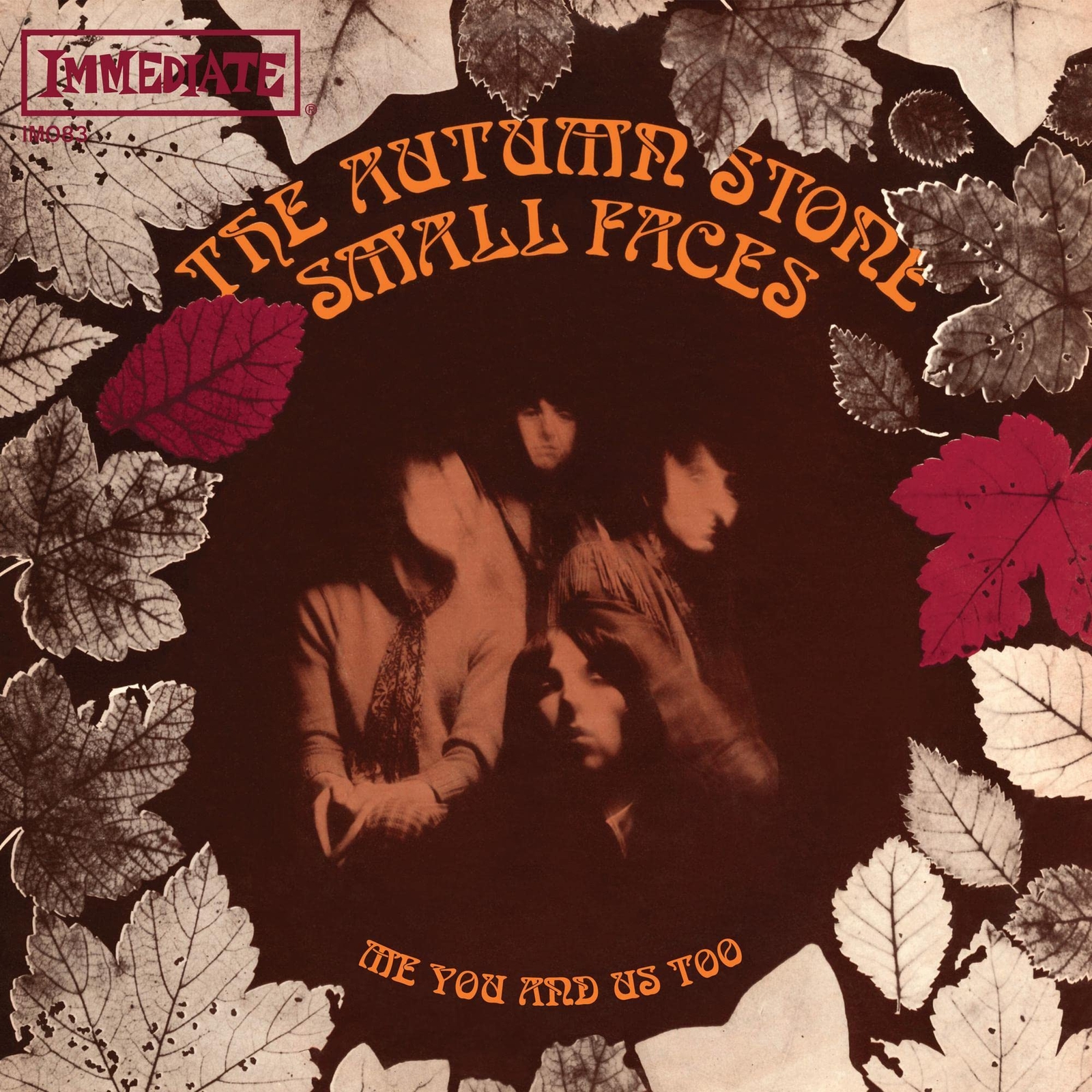 Faces The Autumn Stone (Autumn (Vinyl LP)