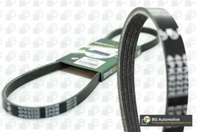 Drive Belt Ribbed Fits Ford COURIER ESCORT FIESTA Opt1/2 PowerSteer 1.3 068KP4