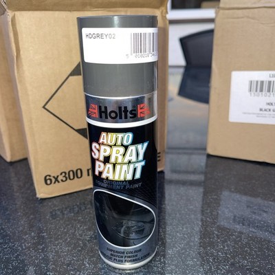 Holts Grey Non-Metallic HDGREY02 Aerosol Sprühlack 300ml Auto Profi