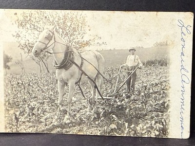 Antique Real photo postcard Rppc Farming Farmer Plowing Leonard Annerman Idd