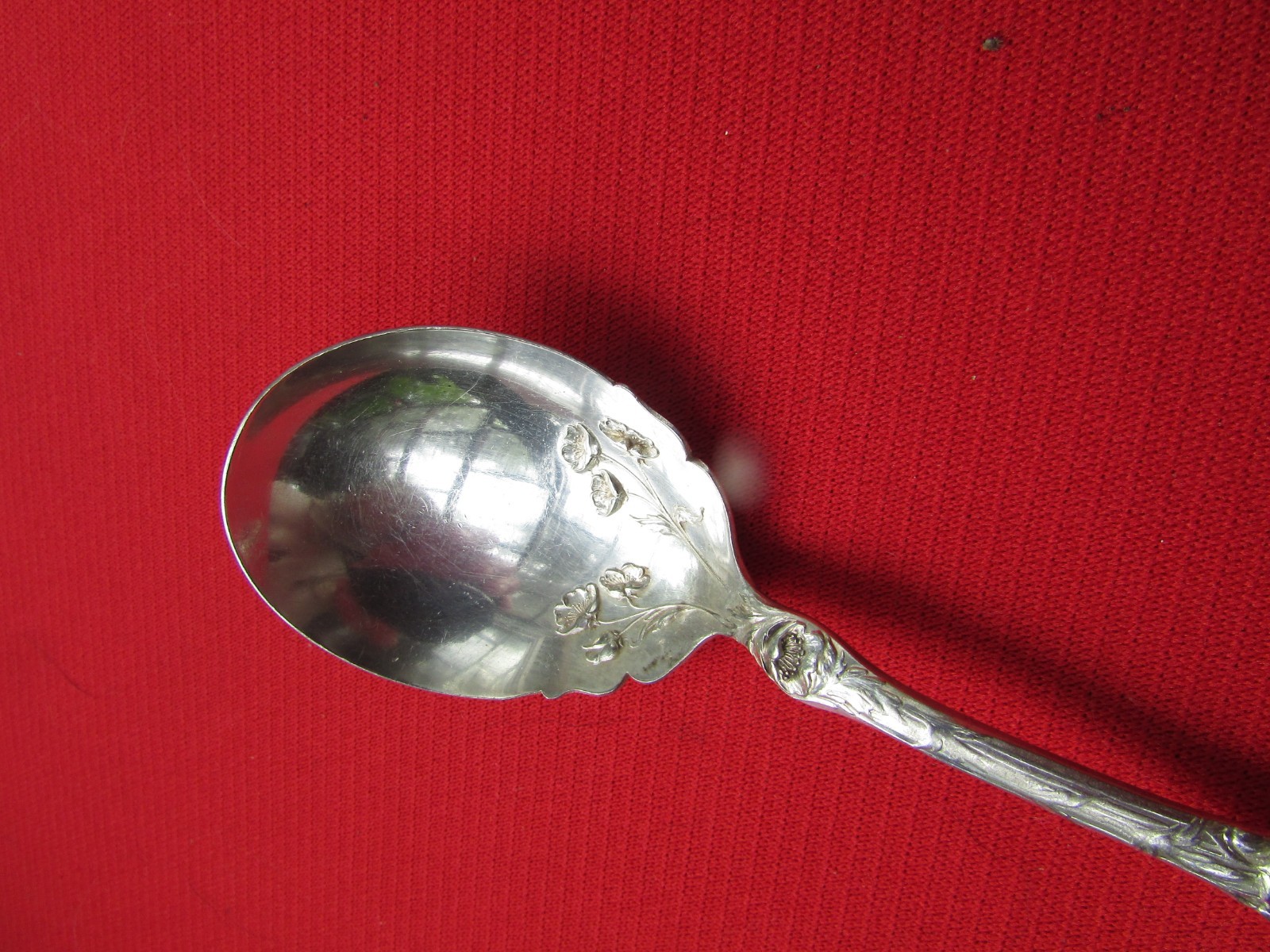 Photo 43/61
