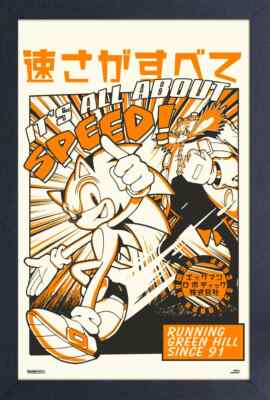 SONIC THE HEDGEHOG IT'S ALL ABOUT SPEED 12x18 FRAMED GELCOAT