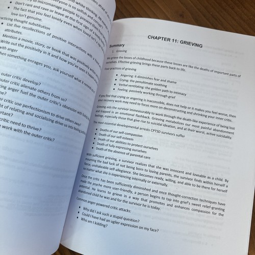 Workbook for Complex PTSD: From Surviving to Thriving - Picture 8 of 9