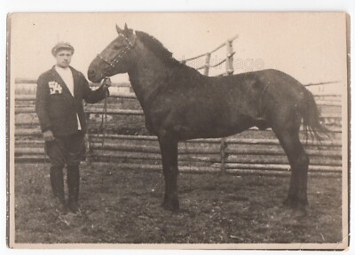 1920s Horse racing show competition Number 54 Early Soviet antique photo