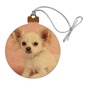 ebay chihuahua puppies