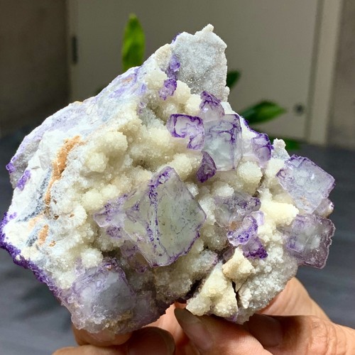 225G Natural Púrpura "Código QR" Racimo de Fluorita Cristal Mineral Espécimen/Guizhou - Imagen 18 de 23