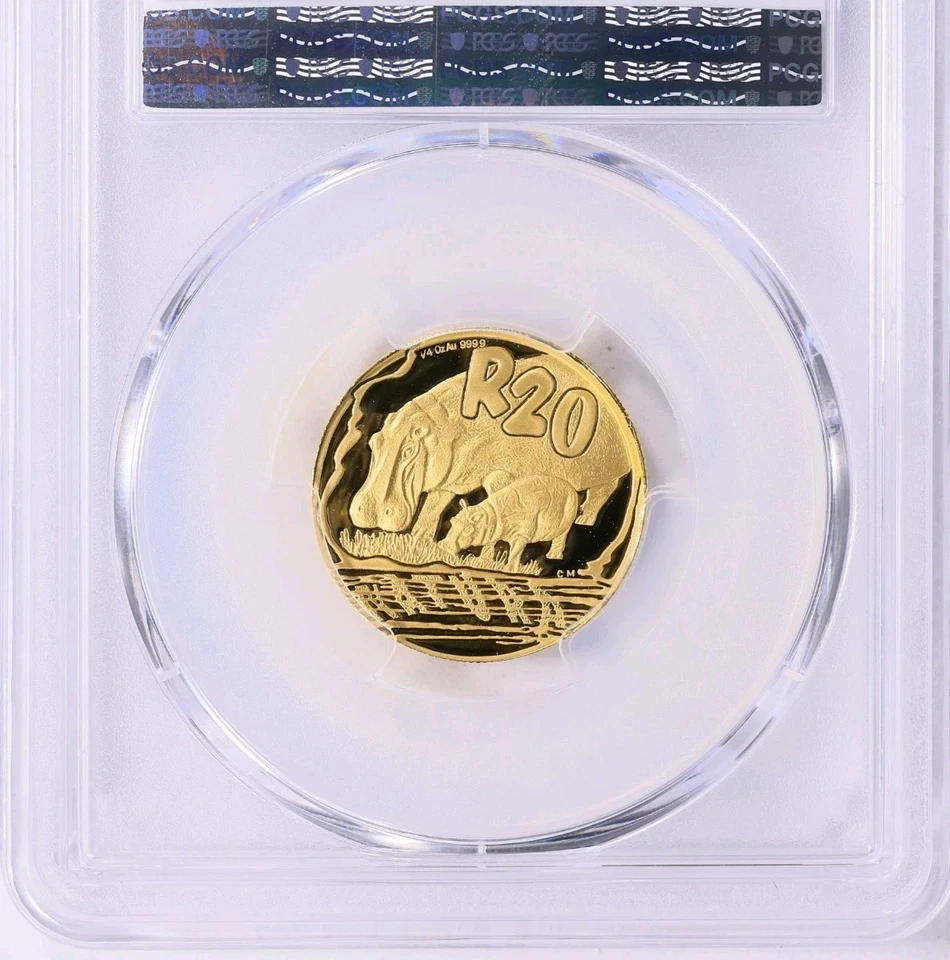 2005 South Africa Natura 20 Rand Hippo 1/4oz Gold Coin PCGS PR70DCAM Rare Pop 3 - Image 2 of 4