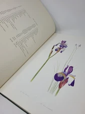 W R Dykes / The Genus Iris Atlas of Coloured Plates 1952