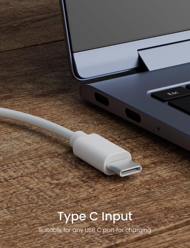 Chargeur USB C pour Google Pixel Watch 2 de rechange de 1 m magnétique sans f... - Photo 7 sur 7