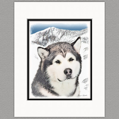 Alaskan Malamute Alaska Original Art Print 8x10 Matted to 11x14
