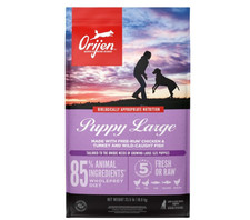 ORIJEN Puppy Large Recipe, High-Protein Grain-Free Dry Puppy Food, 23.5 LB
