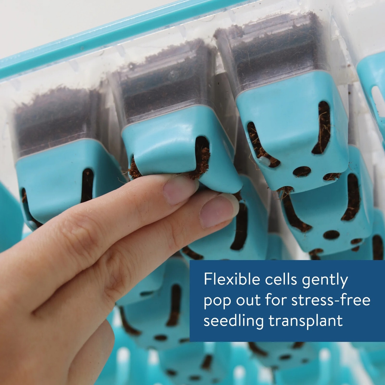 5Pack Burpee SuperSeed 36 Cell Seed Starting Tray with Reusable Silicone Cells,