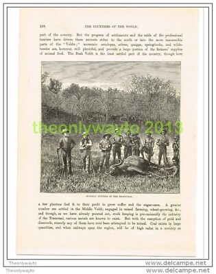 BÜFFELJÄGER IM TRANSVAAL, SÜDAFRIKA, Buchillustration um 1890