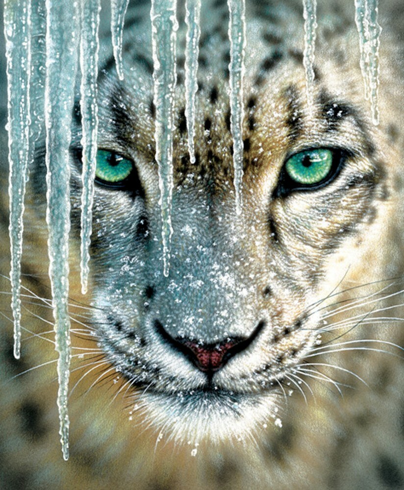 Blue Ice 1000 Piece Jigsaw Puzzle Collin Bogle Sunsout cat
