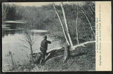 pk95494:Postcard-Vintage View A Good Chance for a Fine Buck,Highlands of Ontario