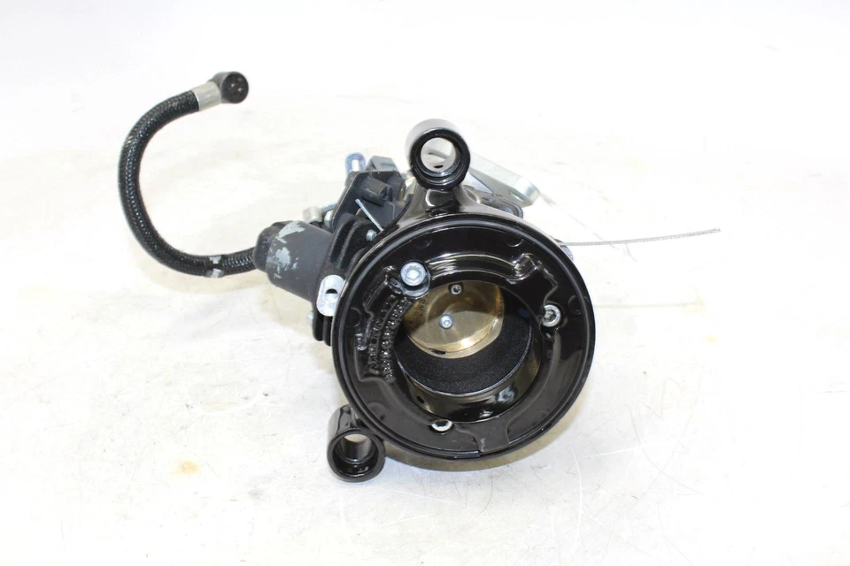 Harley-Davidson Iron 883 XL883N 2016 carburador de carburador Foto 2 de 4