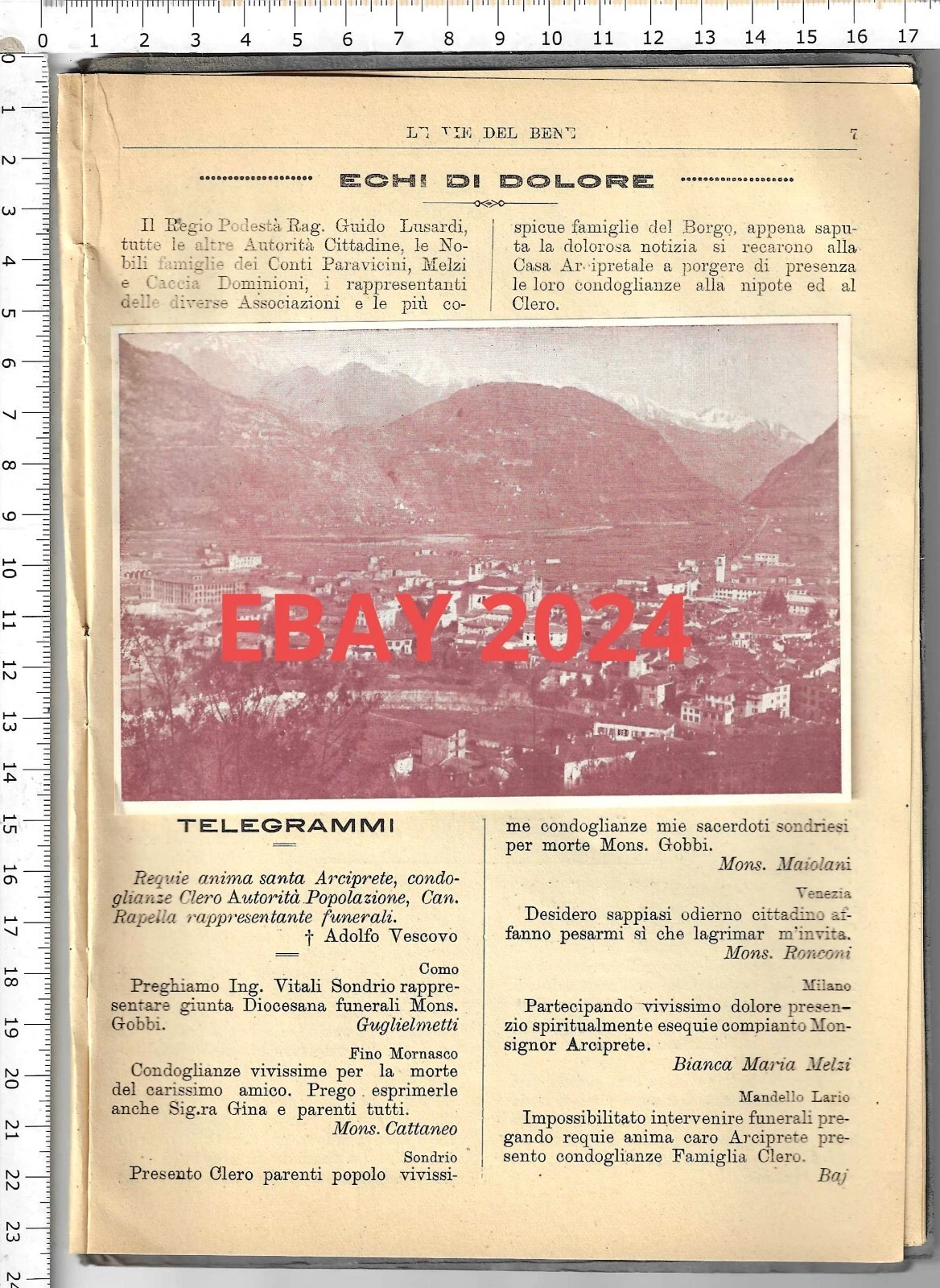 Foto 5 di 7