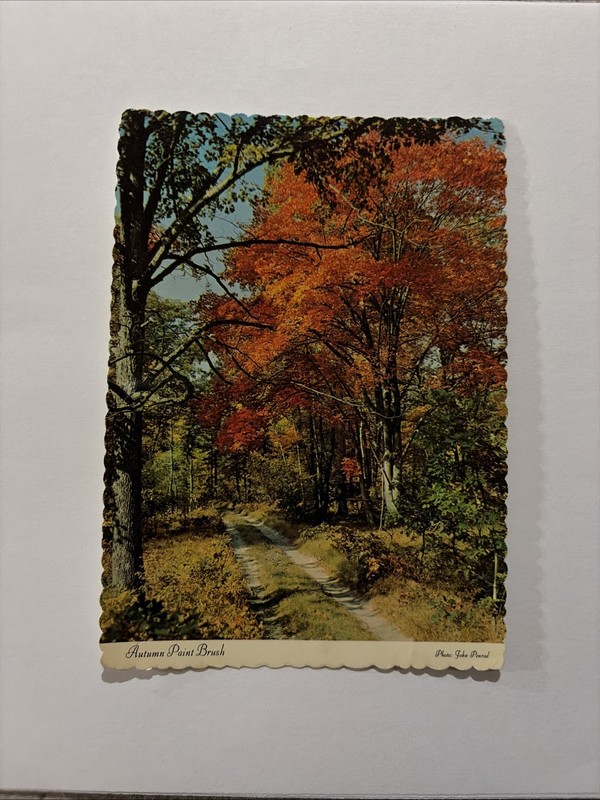 John Penrod, Dexter Press, West Nyack, New York, 32530-C, Autumn Postcard