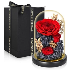 Preserved Roses in Glass Dome,Eternal Rose & Peony with Led Light,Forever Flo...