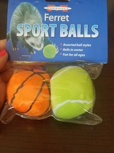 ferret ball toy