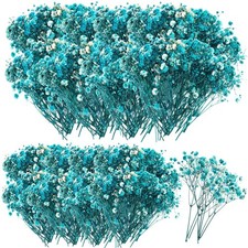 100 PCS Mini Dried Babys Breath Flowers 5600 Bulk Natural Gypsophila Blue