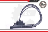 Esen SKV ZüNdspule ZüNdmodul FüR Renault Clio III Twingo II Dacia Sandero