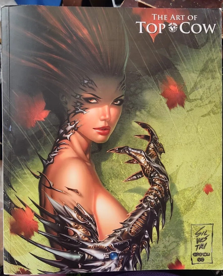 The Art of Top Cow　トップ・カウ The Art Of Top Cow By Top Cow Productions Paperback and WITCHBLADE