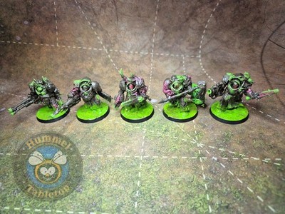Warhammer 40k - Death Guard - Blightlord Terminators [bemalt]