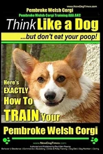Pembroke Welsh Corgi, Pembroke Welsh Corgi Training AAA AKC: Think Like a - GOOD