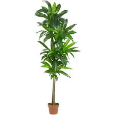 Nearly Natural 72-in Dracaena Artificial Plant (Real Touch)