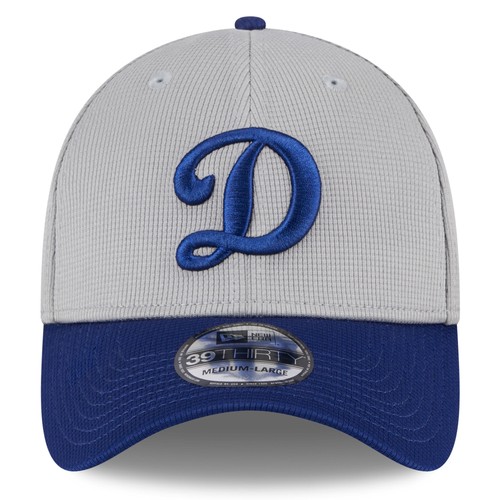 Men's New Era Gray Los Angeles Dodgers 2025 Batting Practice 39THIRTY Flex Hat - Picture 2 of 6