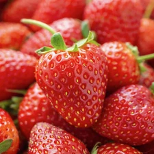 Poppin Crunch Strawberry Gushers Candy Snacks Choice of Sweet or Sour