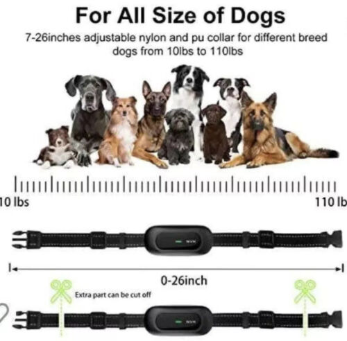 dog training collar waterproof rechargeable wi th remote - Picture 2 of 3
