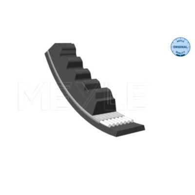 1x Keilriemen MEYLE 052 010 0650 passend für ALFA ROMEO CITROËN FIAT LANCIA