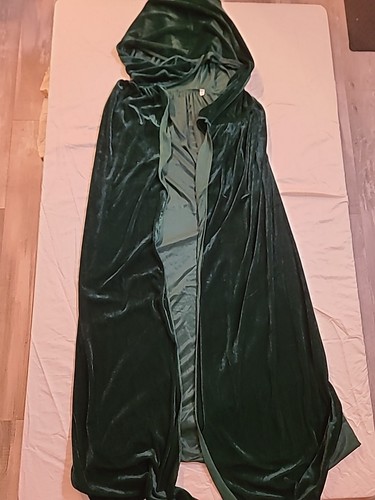 Women's Disney Hocus Pocus Winifred Sanderson Costume LARGE Complete Robe Wig - Picture 12 of 15