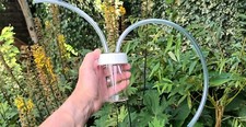 XL Insect Pooter with Large Clear Collection Chamber