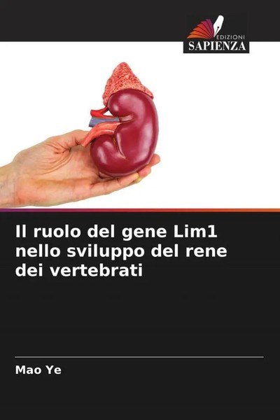 Il Ruolo Del Gene Lim1 Nello Sviluppo Del Rene Dei Vertebrati Mao Ye Taschenbuch-image