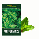 Pfefferminze Mehrjährig Samen - Mentha piperita - Pfefferminzesamen
