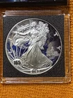 2025 Colorized EARTH  Silver Eagle ASE 1 OZ .999  Dollar Coin With Privy 5662