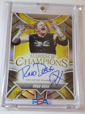 2025 Topps Universe WWE Wrestling Guide in-content 40