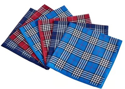 RDS HANKYTEX Men's Handkerchiefs 100% Cotton Checker Pattern 6 17inch, Blue 