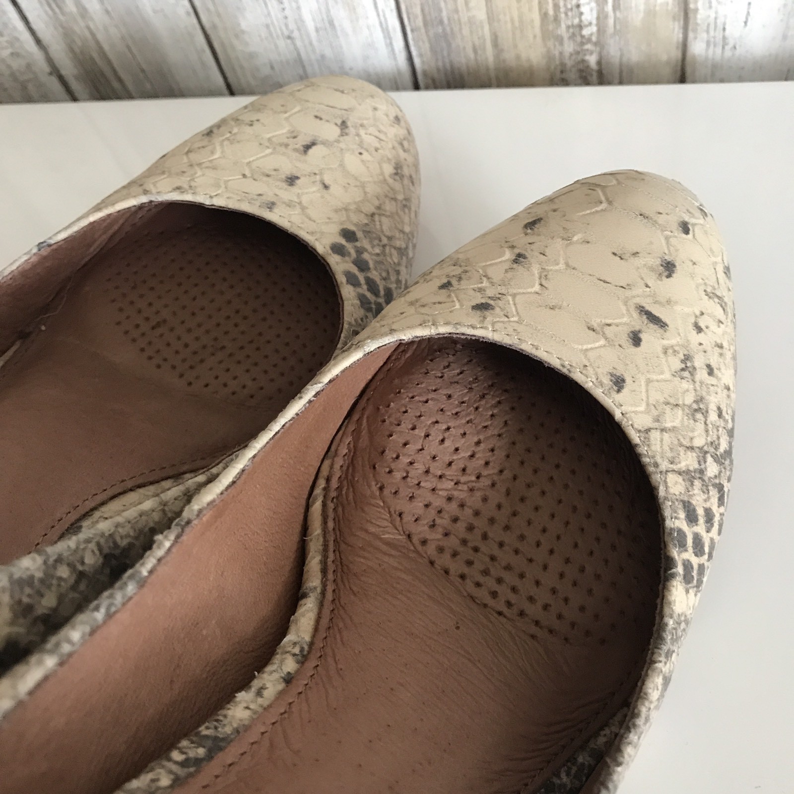 CORSO COMO Python DEL Beige Black Gray Stiletto H… - image 5