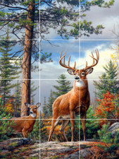 deer proud  alert in pine tree forest wildlife ceramic tile mural backsplash