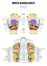 POSTERDRUCK Lernen Grafik pädagogische Reflexzonenmassage Tabelle Salon Füße Hände
