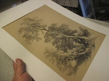 James Duffield Harding lithograph Trees Small Gate