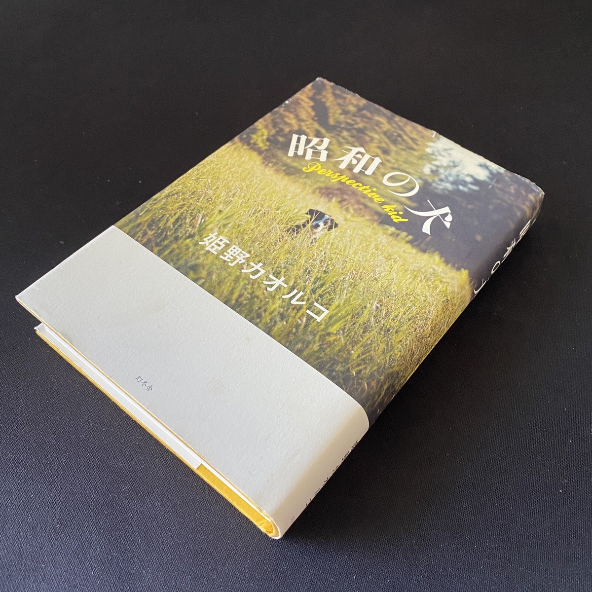 文学・小説 PUKUPUKU Amazon.co.jp: ぷくぷく (小学館文庫) 電子書籍: 森沢明夫