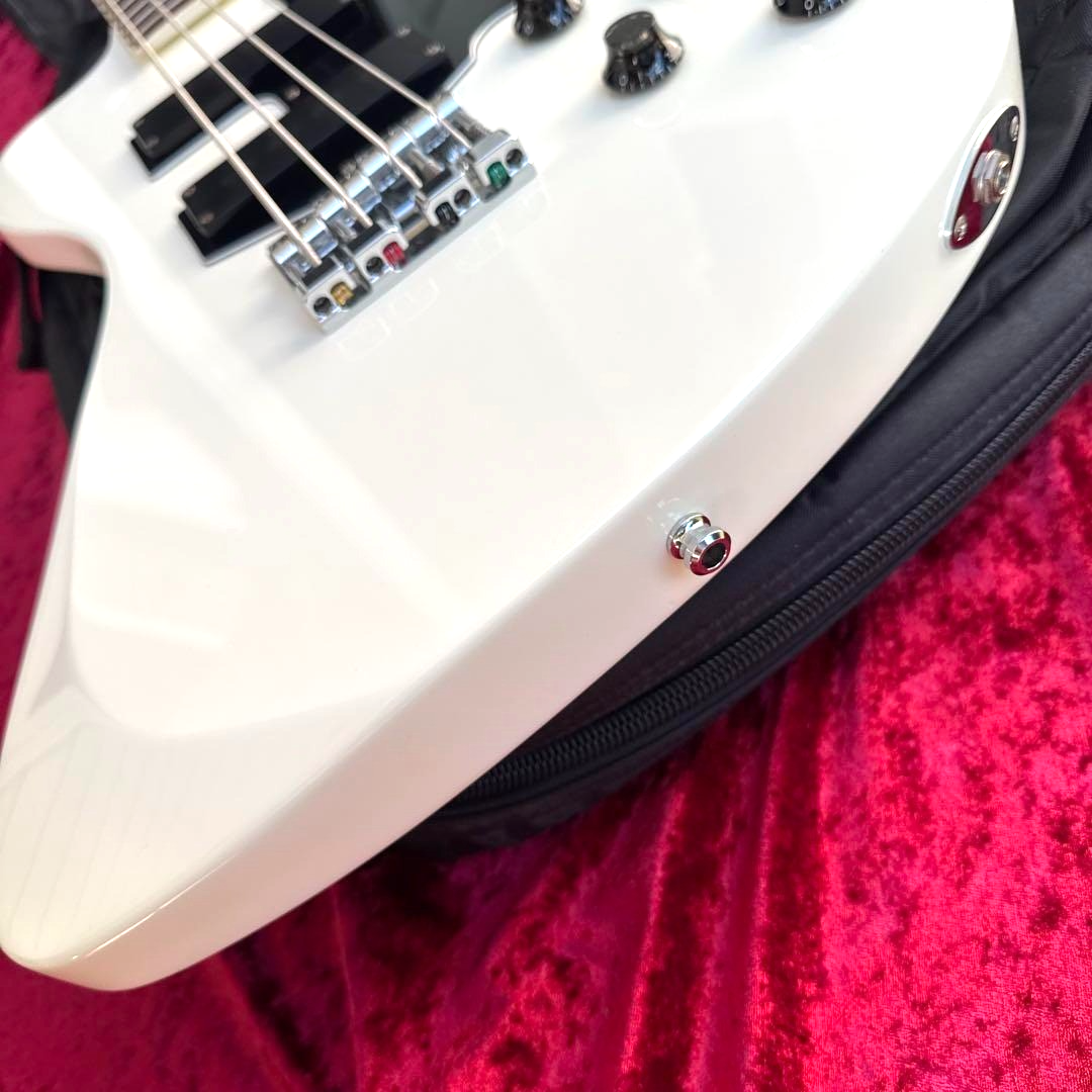 EDWARDS E-T-100TR DIR EN GREY Toshiya Model Electric Bass Guitar